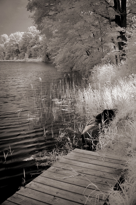 Dodie's Lake 4 Wingdale, NY � Dave Hickey